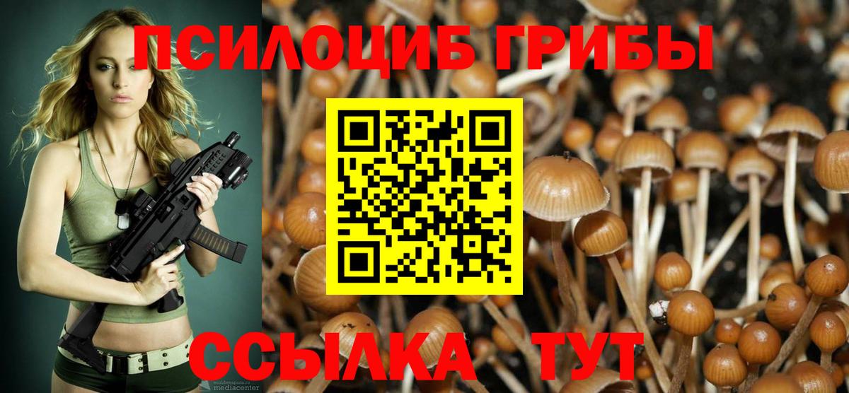 Галлюциногенные грибы Psilocybe  Галлюциногенные грибы прущие грибы  Кунгур  Вход с VPN 